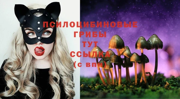 герыч Абаза